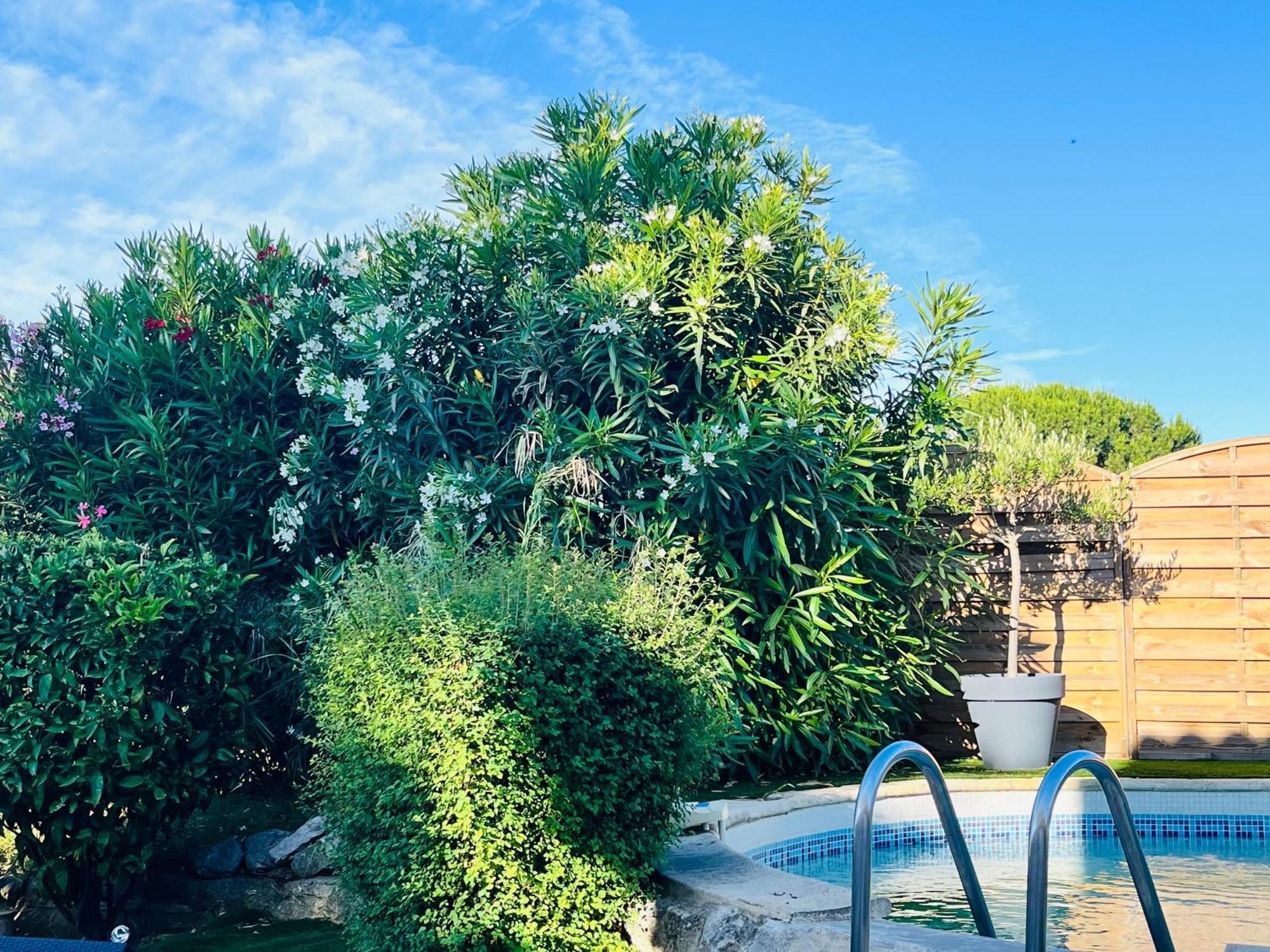 Piscine Cosy, 3 Chambres, 3 Sdb, Havre De Paix A 10 Min Des Plages Mauguio Exterior photo
